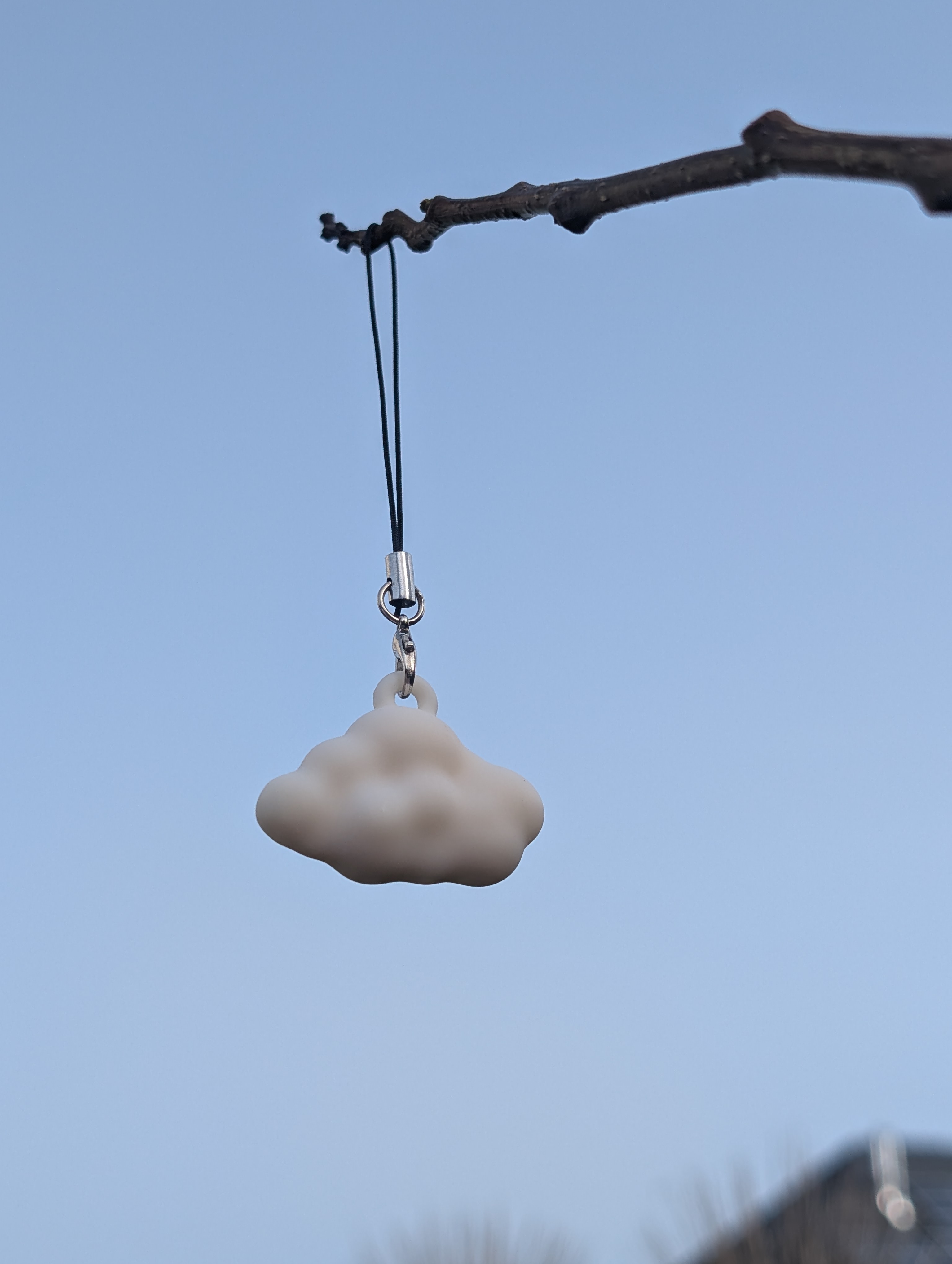 Image of cloud charm